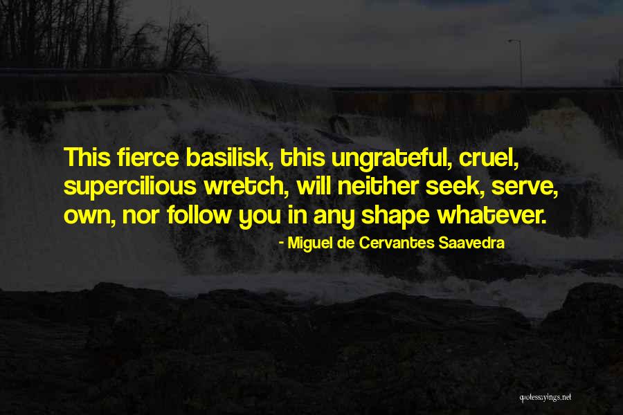 Diverse Perspectives Quotes By Miguel De Cervantes Saavedra Diverse Perspectives Quotes By Miguel De Cervantes Saavedra