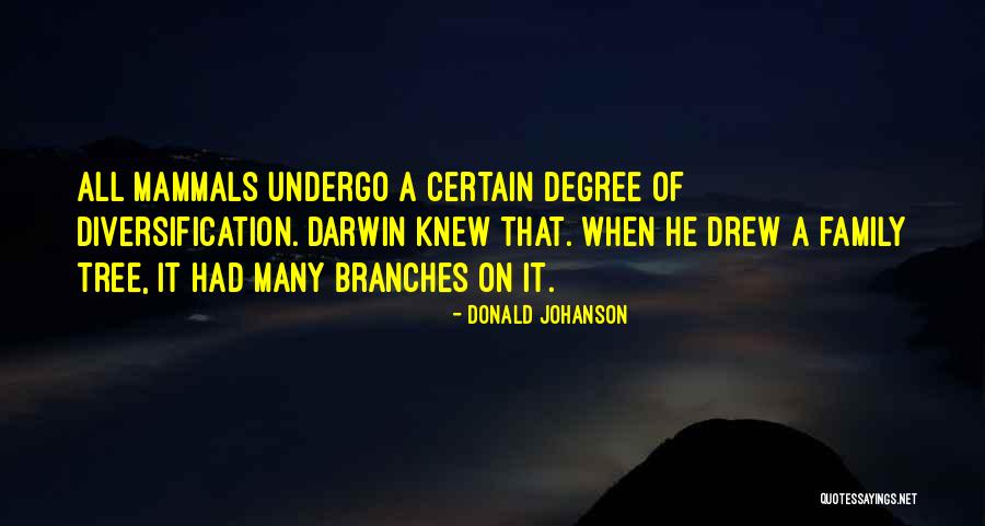 Diversification Quotes By Donald Johanson