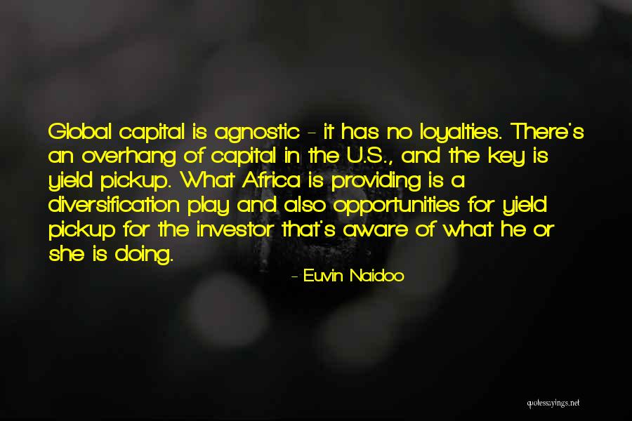 Diversification Quotes By Euvin Naidoo