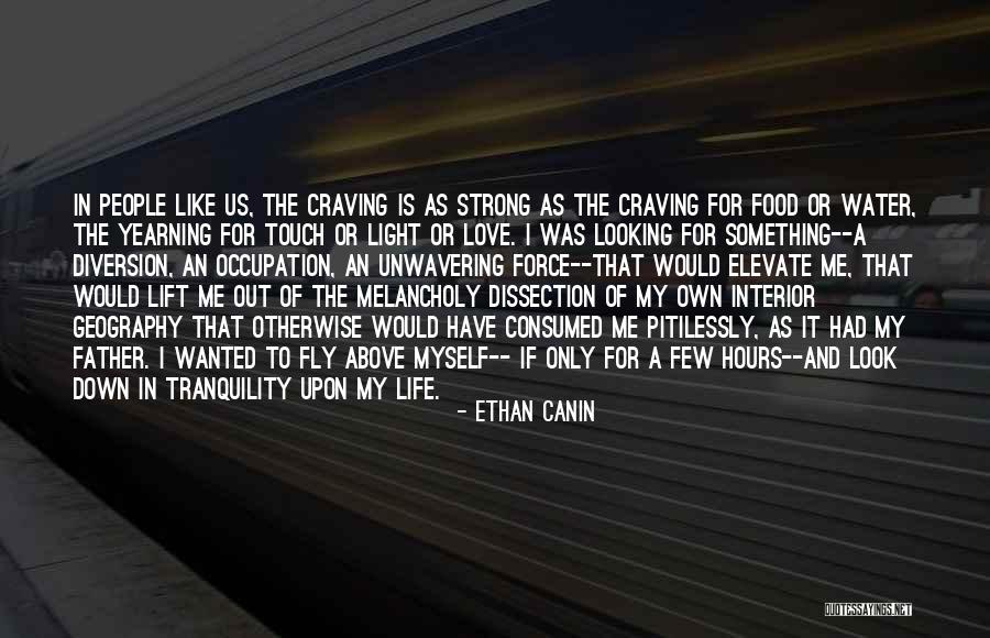 Diversion Love Quotes By Ethan Canin