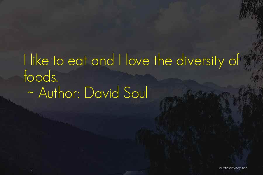 Diversity And Love Quotes By David Soul