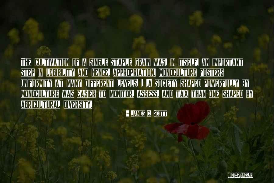 Diversity In Society Quotes By James C. Scott Diversity In Society Quotes By James C. Scott