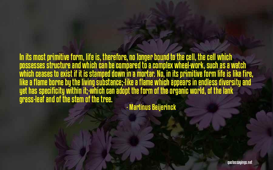 Diversity In World Quotes By Martinus Beijerinck Diversity In World Quotes By Martinus Beijerinck