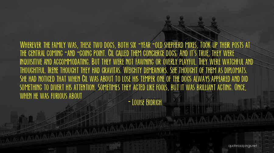 Divert Quotes By Louise Erdrich Divert Quotes By Louise Erdrich