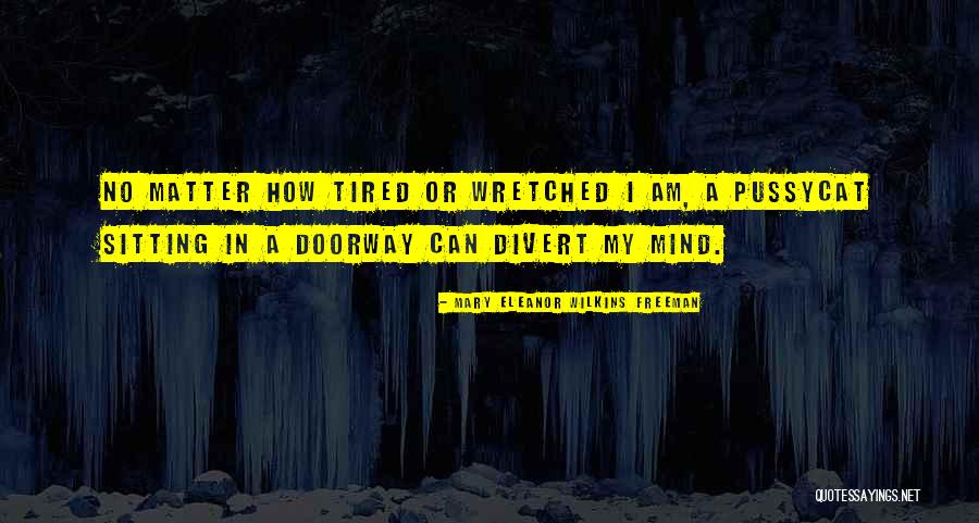 Divert Quotes By Mary Eleanor Wilkins Freeman Divert Quotes By Mary Eleanor Wilkins Freeman