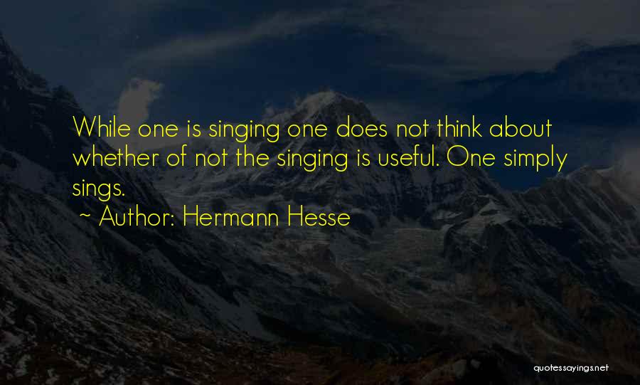 Diverter Shower Quotes By Hermann Hesse