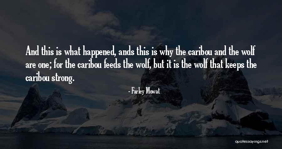 Divested Crossword Quotes By Farley Mowat Divested Crossword Quotes By Farley Mowat