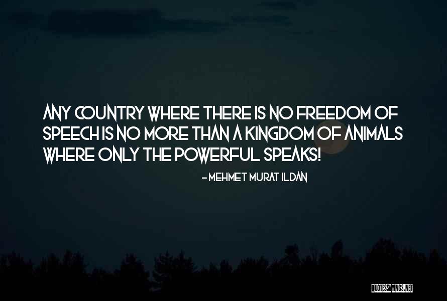 Divi Block Quotes By Mehmet Murat Ildan Divi Block Quotes By Mehmet Murat Ildan