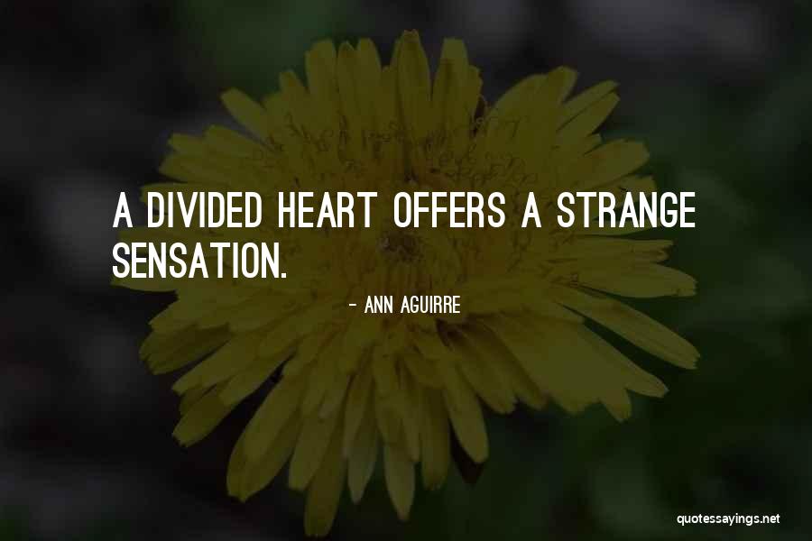 Divided Heart Quotes By Ann Aguirre Divided Heart Quotes By Ann Aguirre