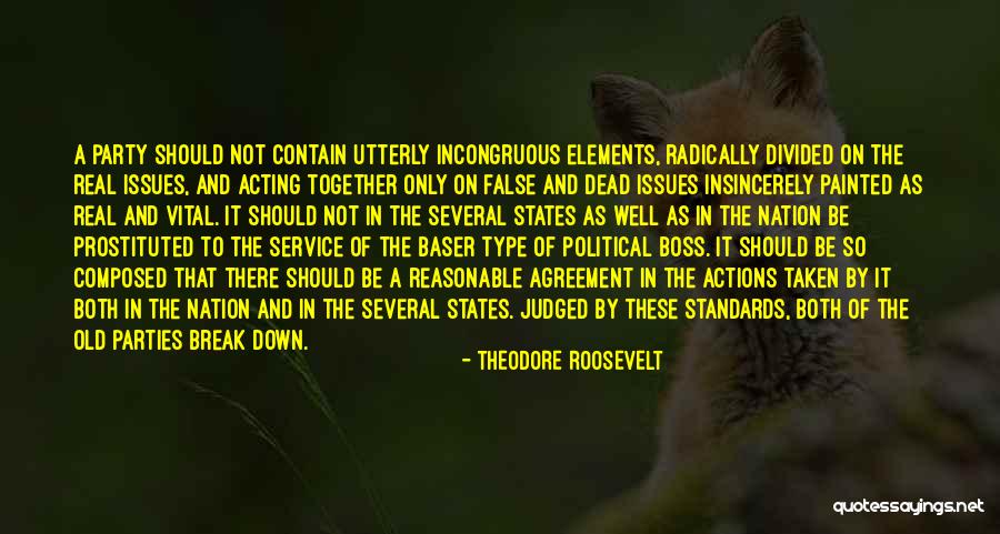 Divided Nation Quotes By Theodore Roosevelt