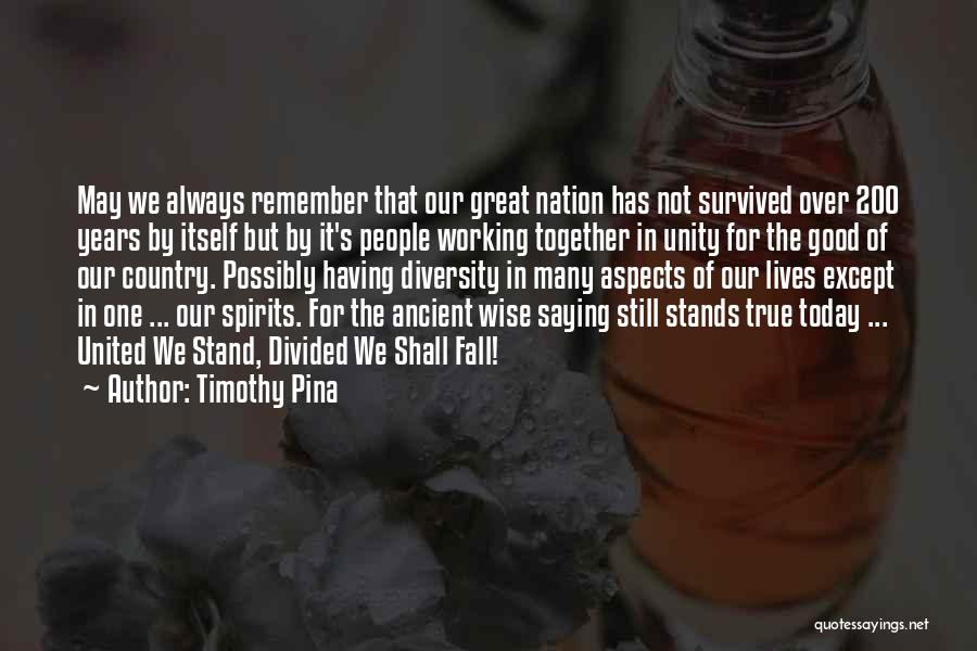 Divided Nation Quotes By Timothy Pina