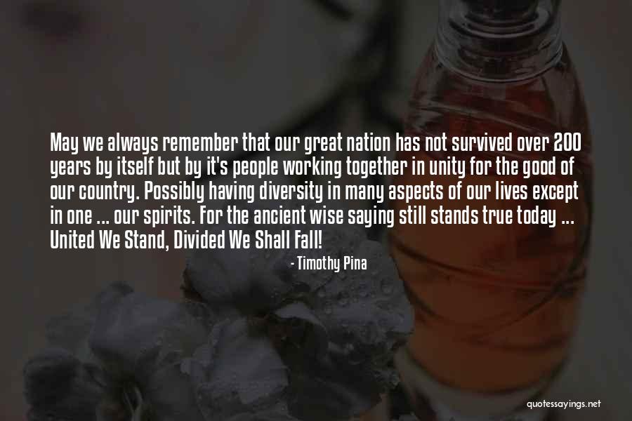 Divided Nation Quotes By Timothy Pina