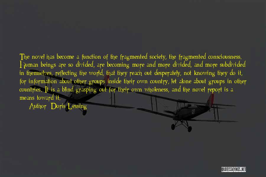 Divided Society Quotes By Doris Lessing