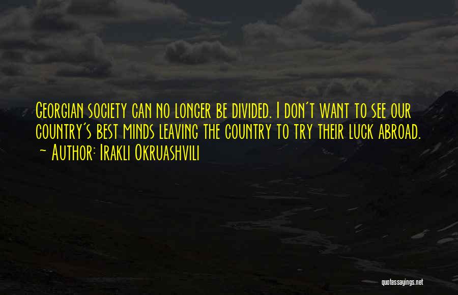 Divided Society Quotes By Irakli Okruashvili