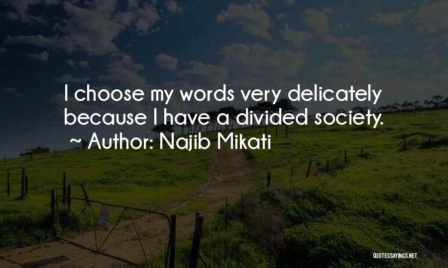 Divided Society Quotes By Najib Mikati