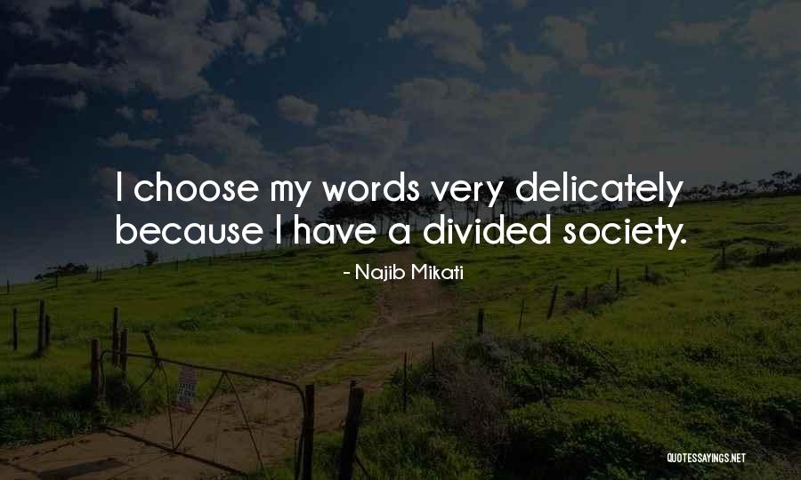 Divided Society Quotes By Najib Mikati