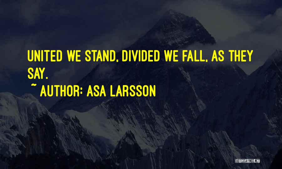 Divided We Stand Quotes By Asa Larsson