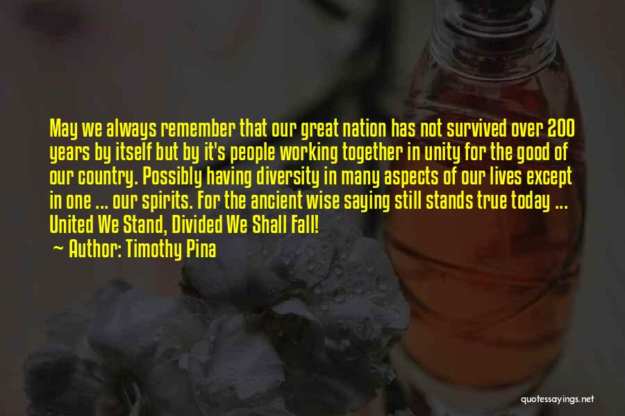 Divided We Stand Quotes By Timothy Pina