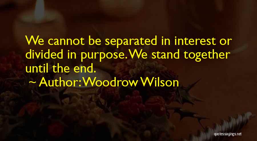 Divided We Stand Quotes By Woodrow Wilson