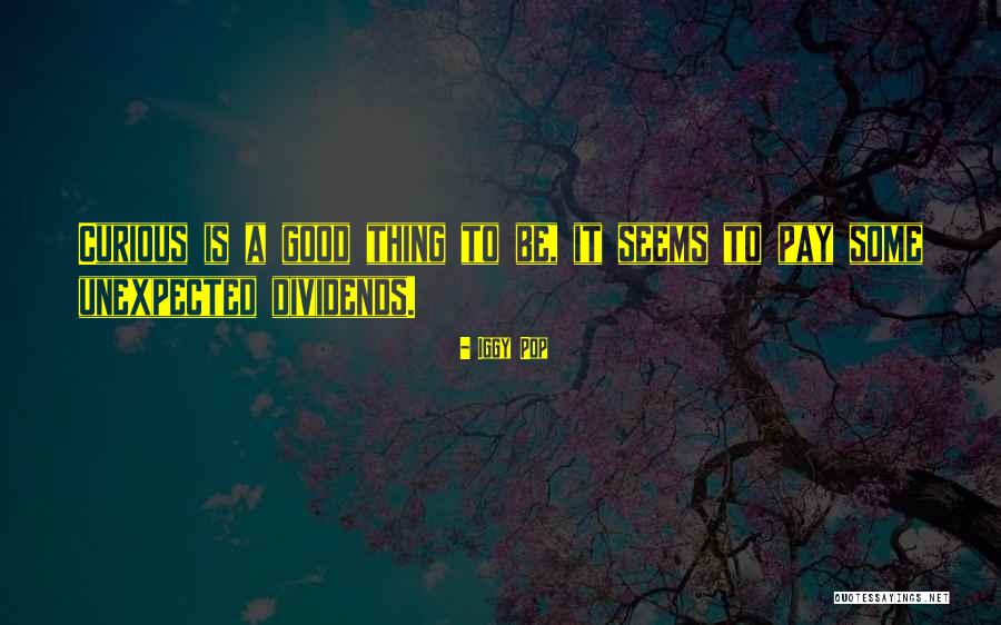 Dividends Quotes By Iggy Pop Dividends Quotes By Iggy Pop