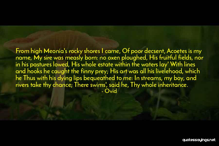 Divididos Sisters Quotes By Ovid Divididos Sisters Quotes By Ovid