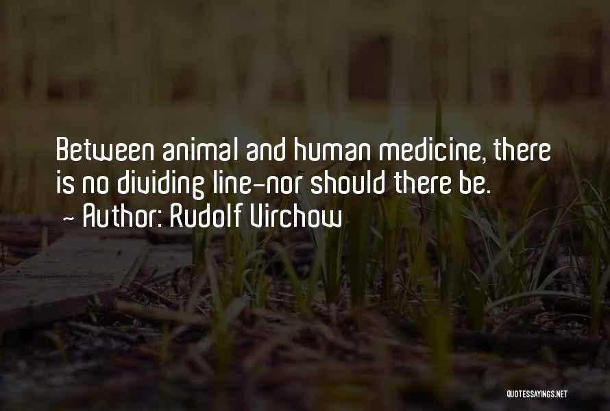 Dividing Line Quotes By Rudolf Virchow