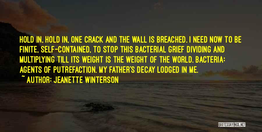 Dividing Quotes By Jeanette Winterson