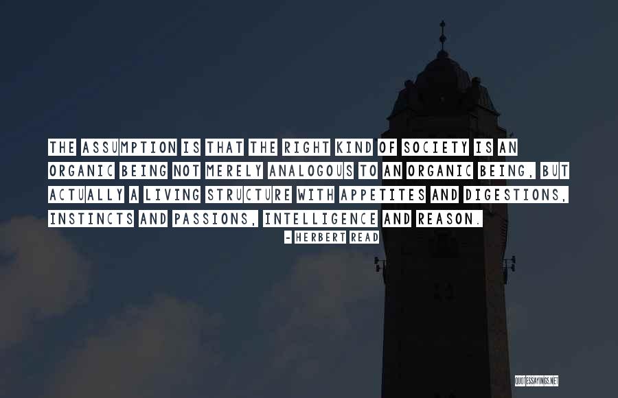 Diviertete En Quotes By Herbert Read Diviertete En Quotes By Herbert Read