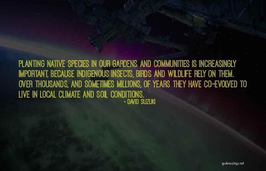 Divieso Quotes By David Suzuki Divieso Quotes By David Suzuki