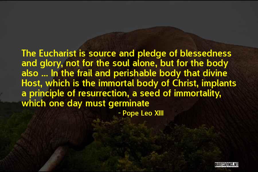 Divindade De Jesus Quotes By Pope Leo XIII Divindade De Jesus Quotes By Pope Leo XIII