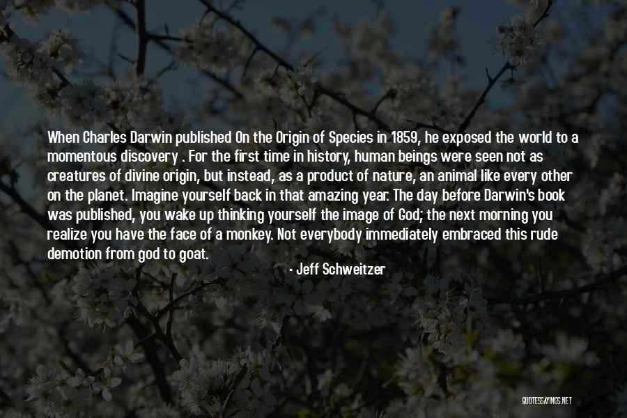 Divine Beings Quotes By Jeff Schweitzer