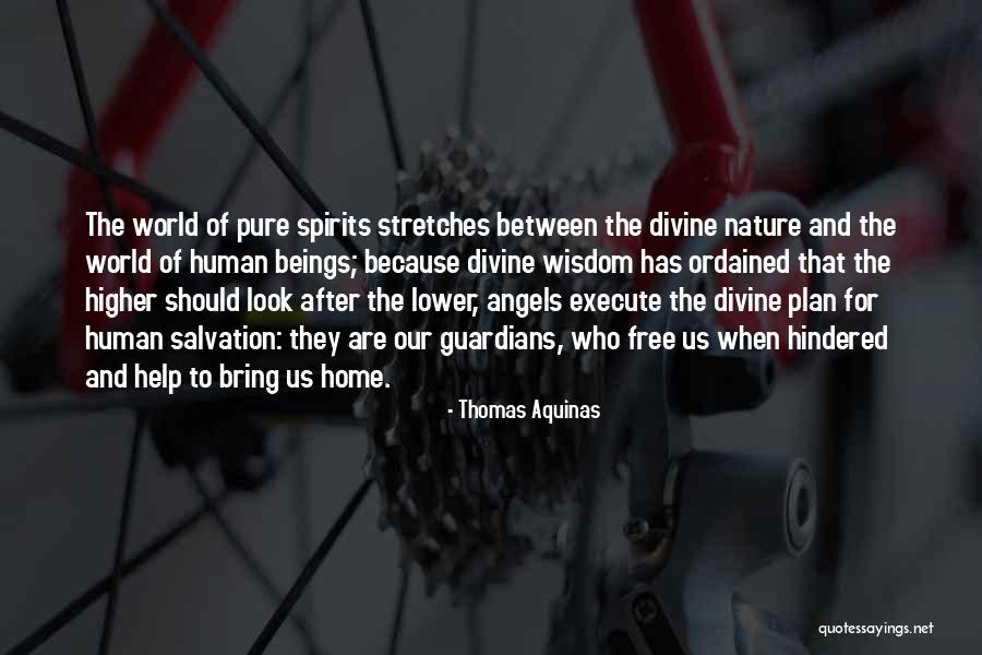 Divine Beings Quotes By Thomas Aquinas Divine Beings Quotes By Thomas Aquinas