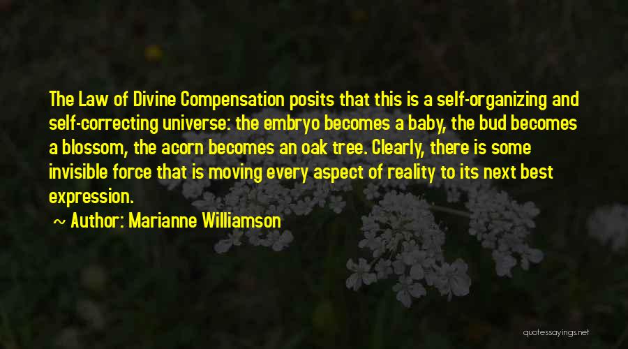 Divine Compensation Quotes By Marianne Williamson