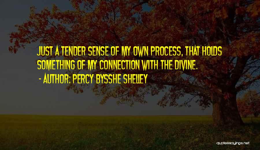Divine Connection Quotes By Percy Bysshe Shelley