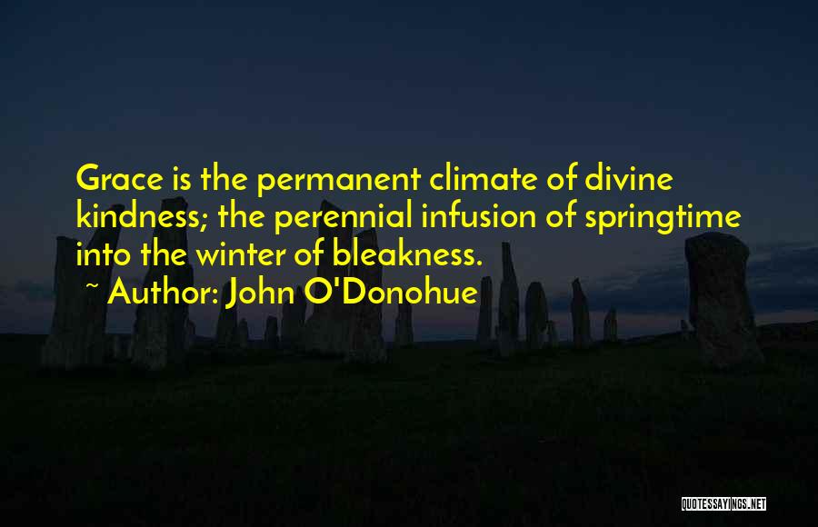 Divine Grace Quotes By John O'Donohue