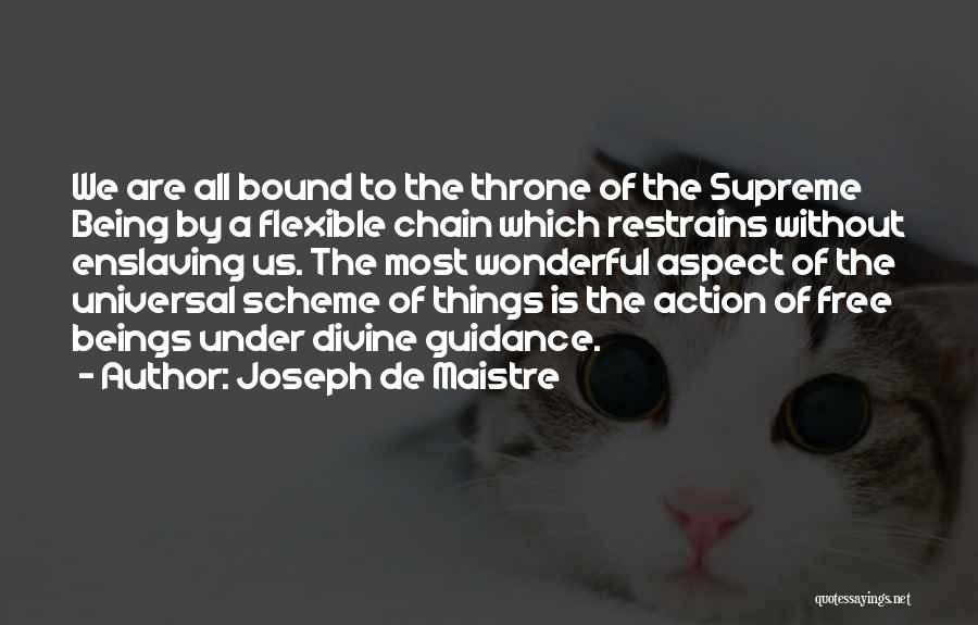 Divine Guidance Quotes By Joseph De Maistre
