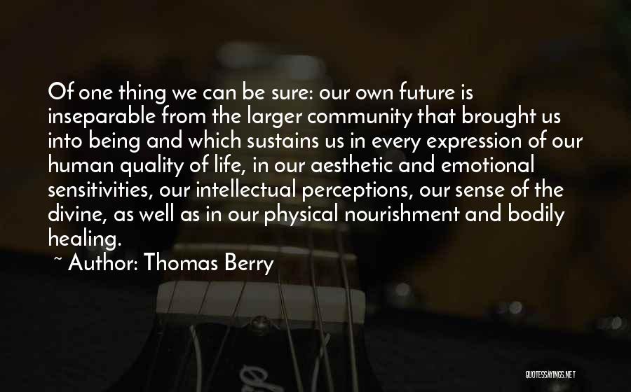 Divine Healing Quotes By Thomas Berry