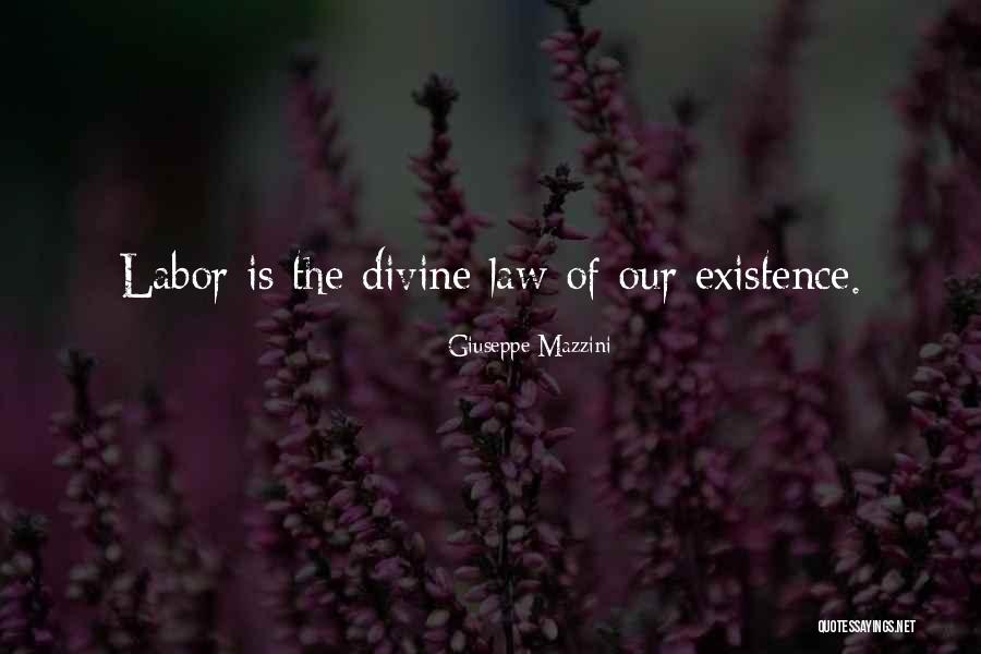 Divine Law Quotes By Giuseppe Mazzini