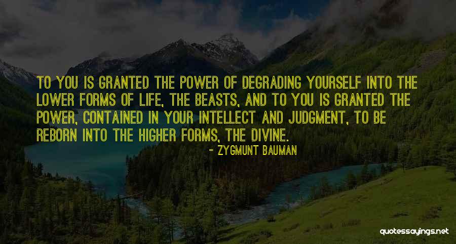 Divine Life Quotes By Zygmunt Bauman Divine Life Quotes By Zygmunt Bauman