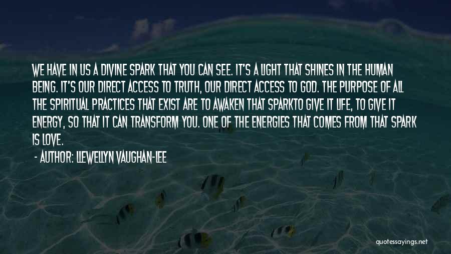 Divine Light Quotes By Llewellyn Vaughan-Lee