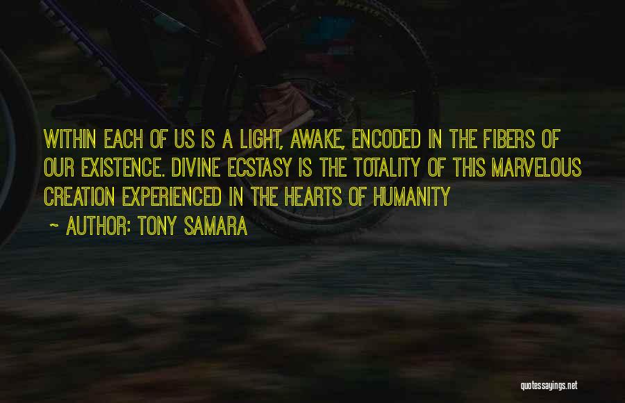 Divine Light Quotes By Tony Samara