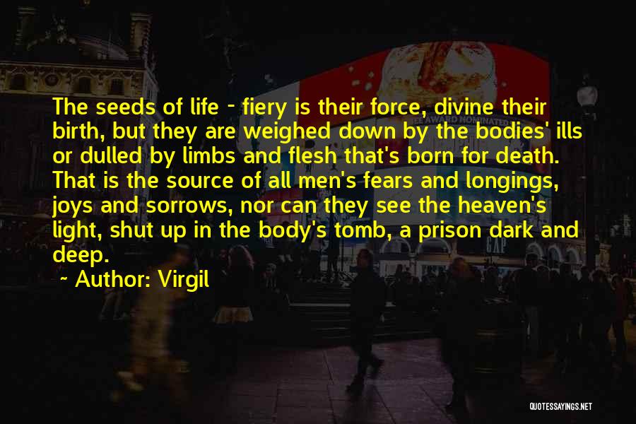 Divine Light Quotes By Virgil