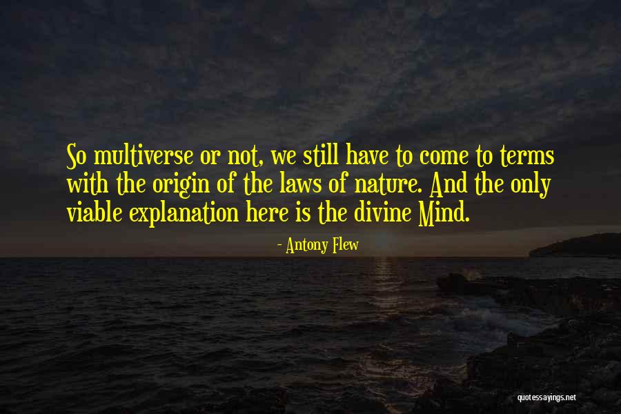 Divine Mind Quotes By Antony Flew Divine Mind Quotes By Antony Flew