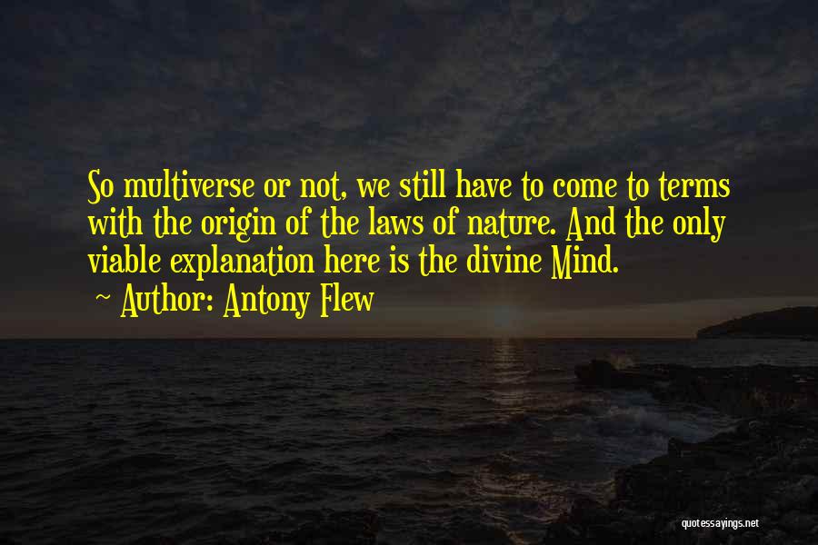 Divine Nature Quotes By Antony Flew