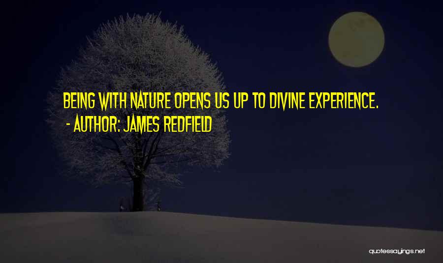 Divine Nature Quotes By James Redfield