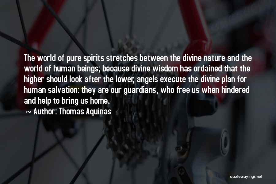 Divine Nature Quotes By Thomas Aquinas