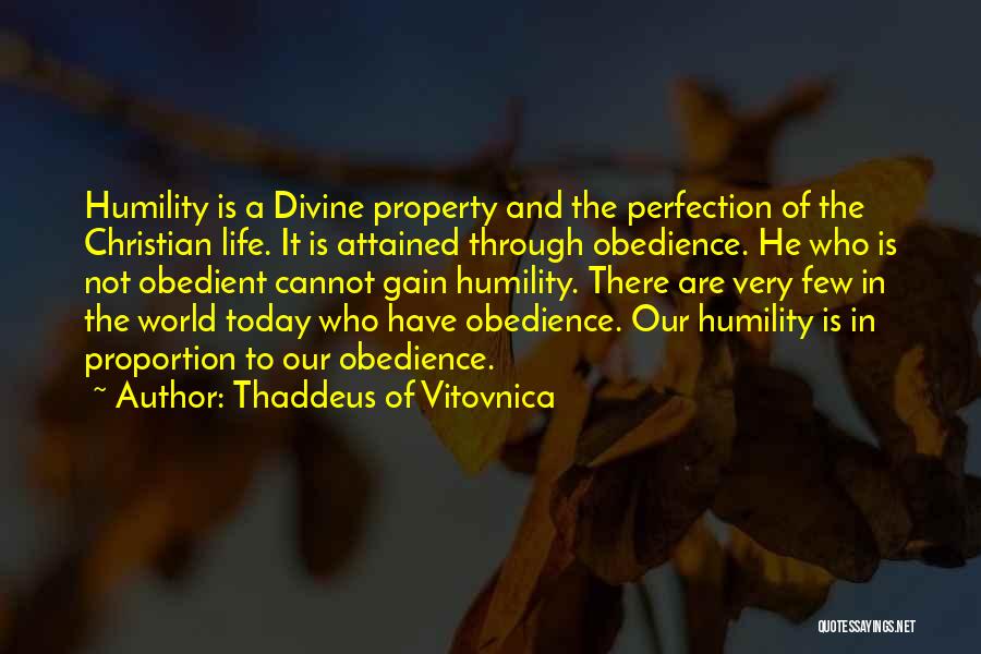 Divine Proportion Quotes By Thaddeus Of Vitovnica