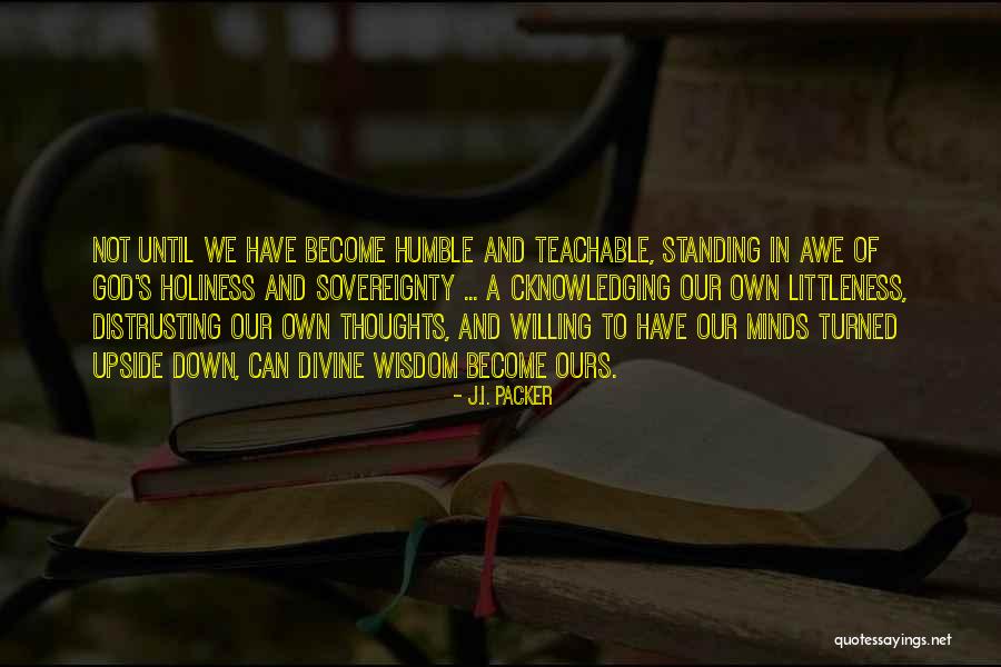 Divine Sovereignty Quotes By J.I. Packer Divine Sovereignty Quotes By J.I. Packer