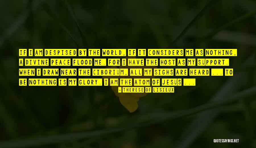 Divine Support Quotes By Therese Of Lisieux Divine Support Quotes By Therese Of Lisieux