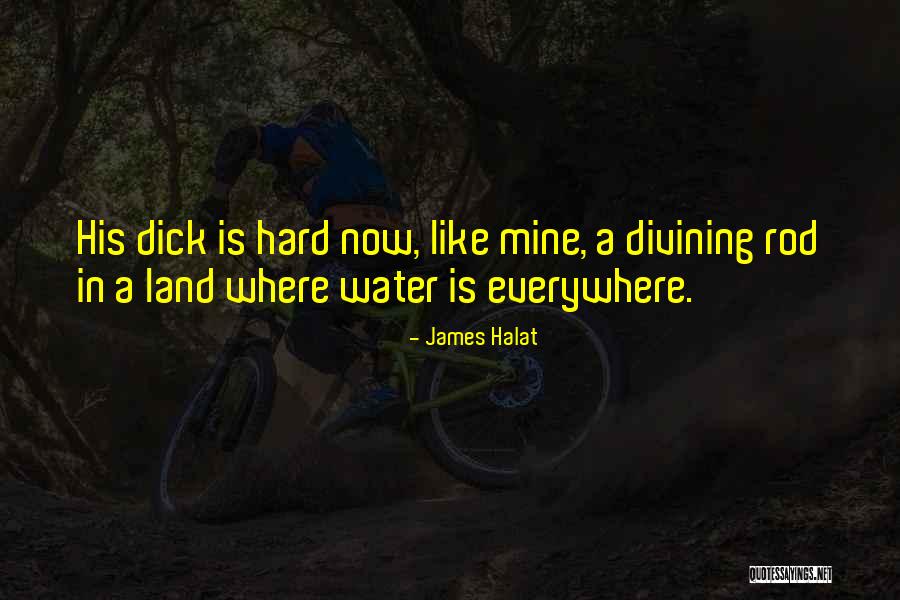Divining Rod Quotes By James Halat